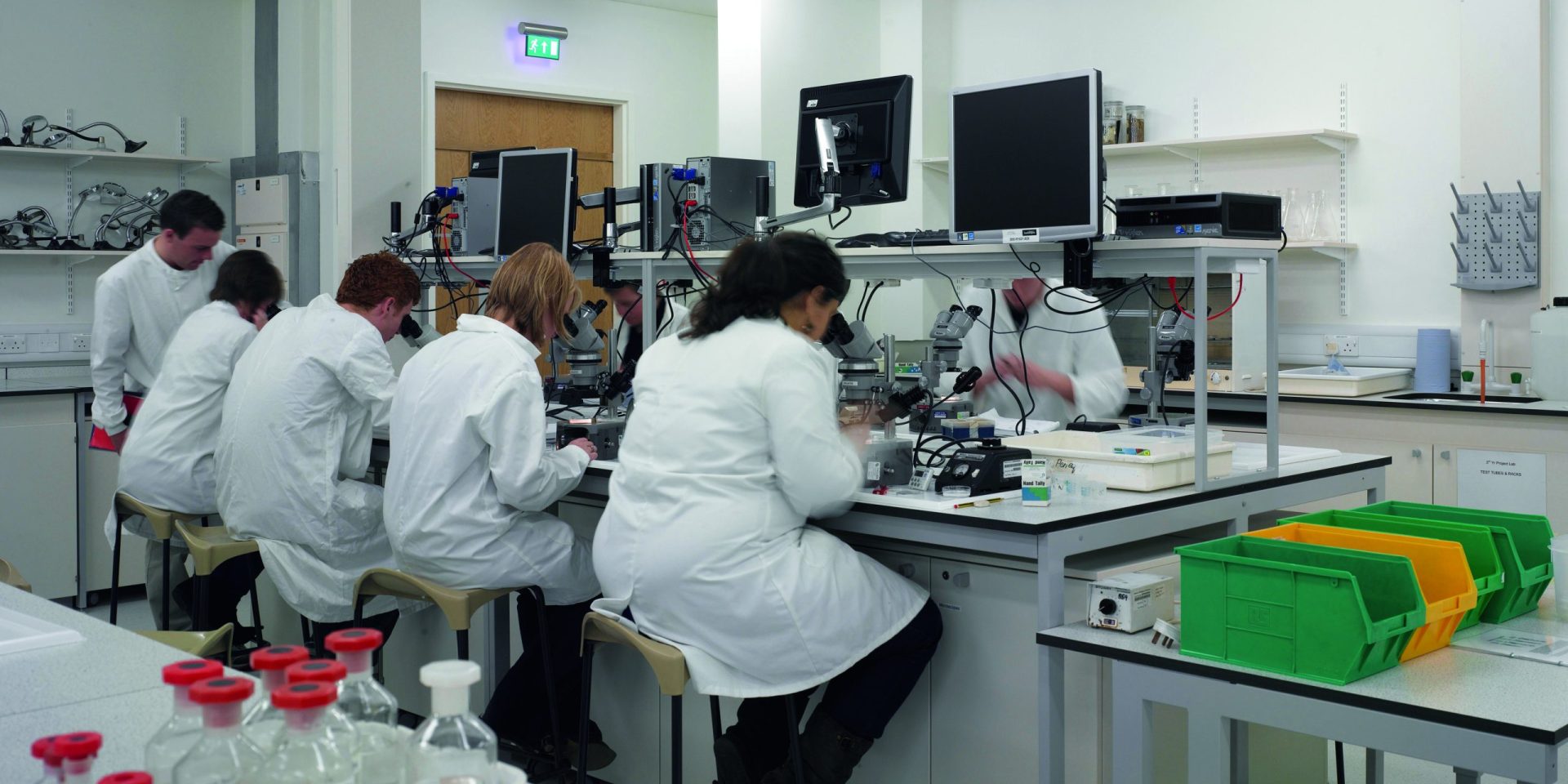 Youth Skills Development