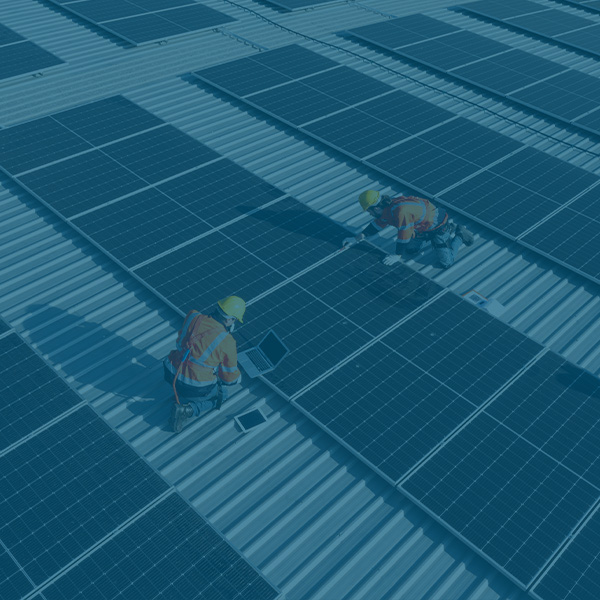 Green Is Good Policy Briefing Document